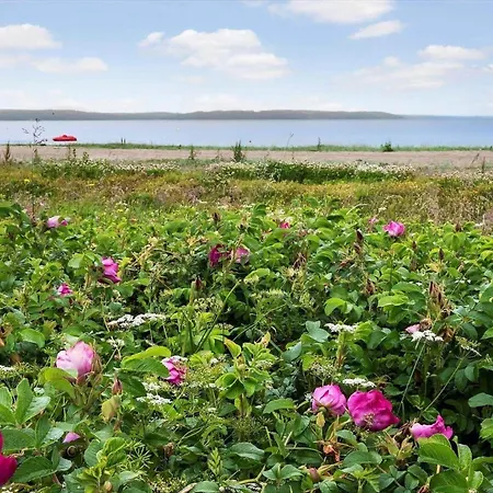 Sj259-borkop-pilealle-5 Ferienhaus