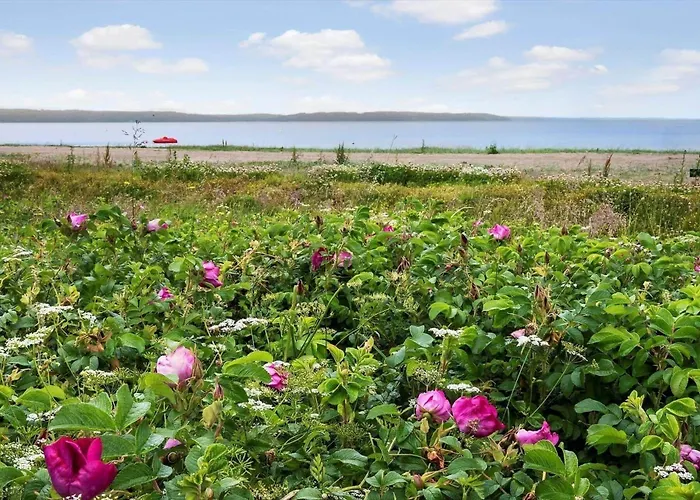 Sj259-borkop-pilealle-5 Casa vacanze